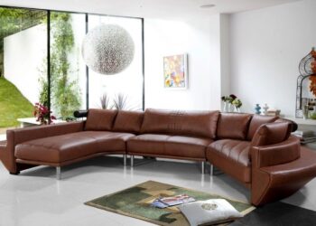 Curved Furniture: The Rise of Soft Design